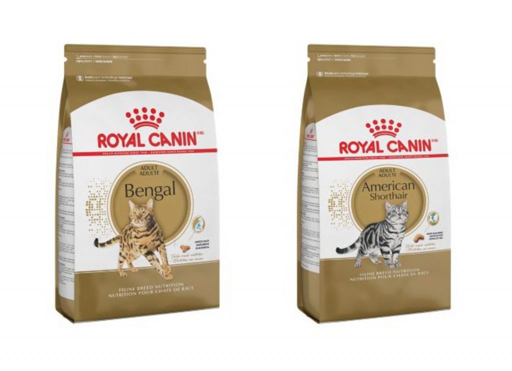 Royal Canin’s American Shorthair and Bengal Feline Formulas